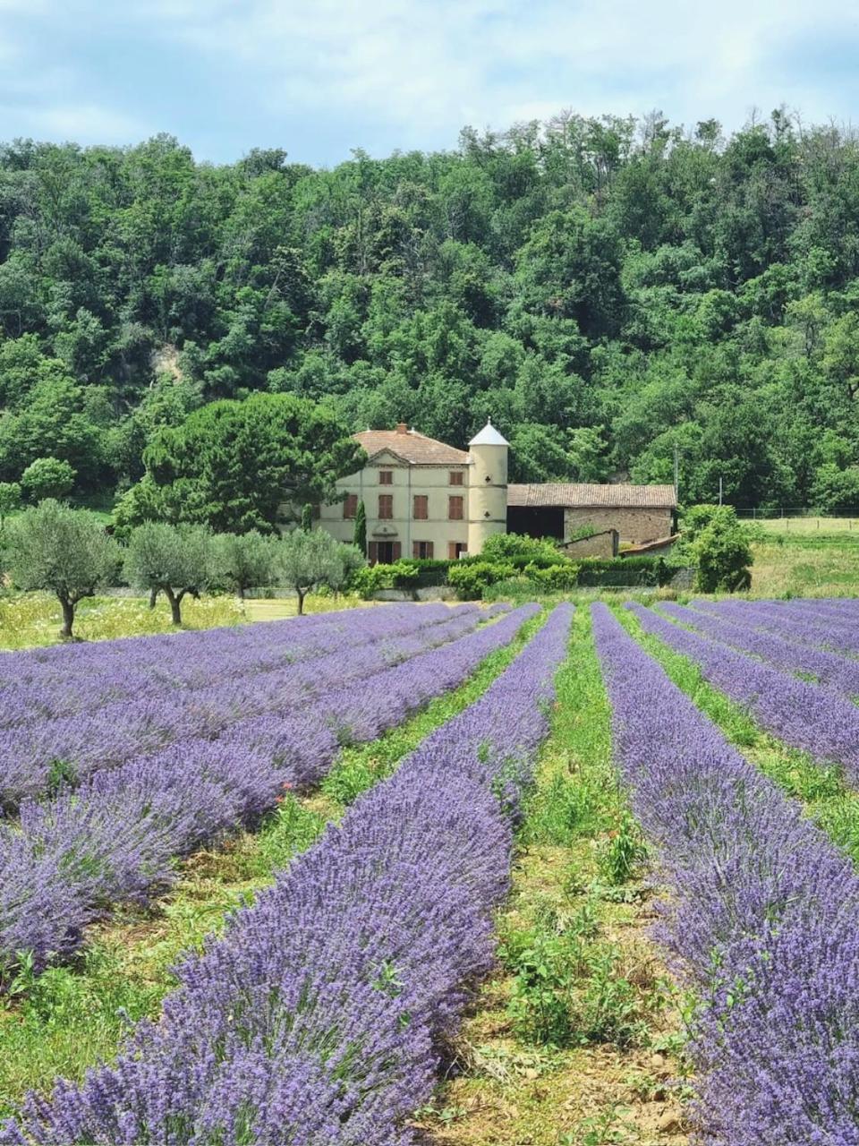 Domaine Des Balmes Villa โรม็อง-ซูร์-อีแซร์ ภายนอก รูปภาพ