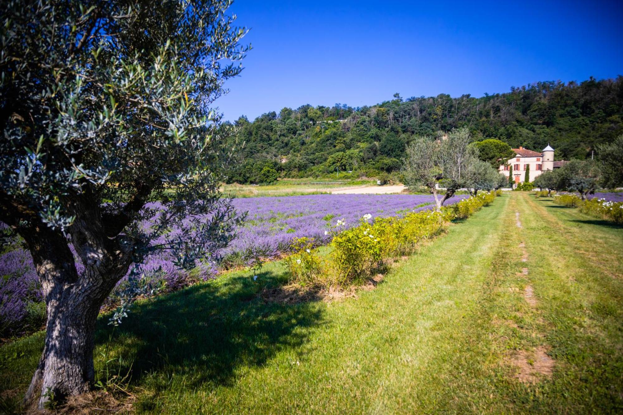 Domaine Des Balmes Villa โรม็อง-ซูร์-อีแซร์ ภายนอก รูปภาพ